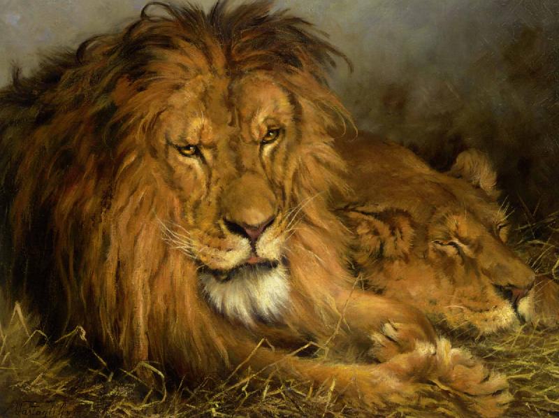 Gyorgy Vastagh Lion and a Lioness oil painting picture